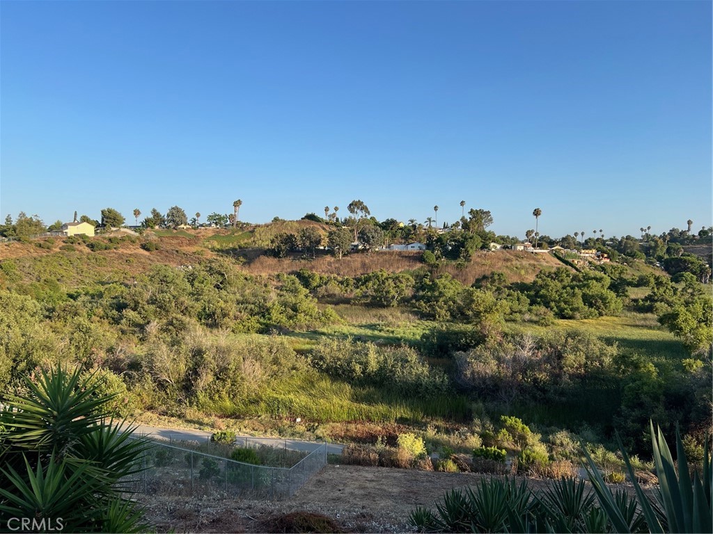 1347 Via Cibola Property Photo 11