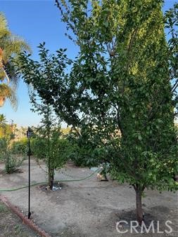 1347 Via Cibola Property Photo 16