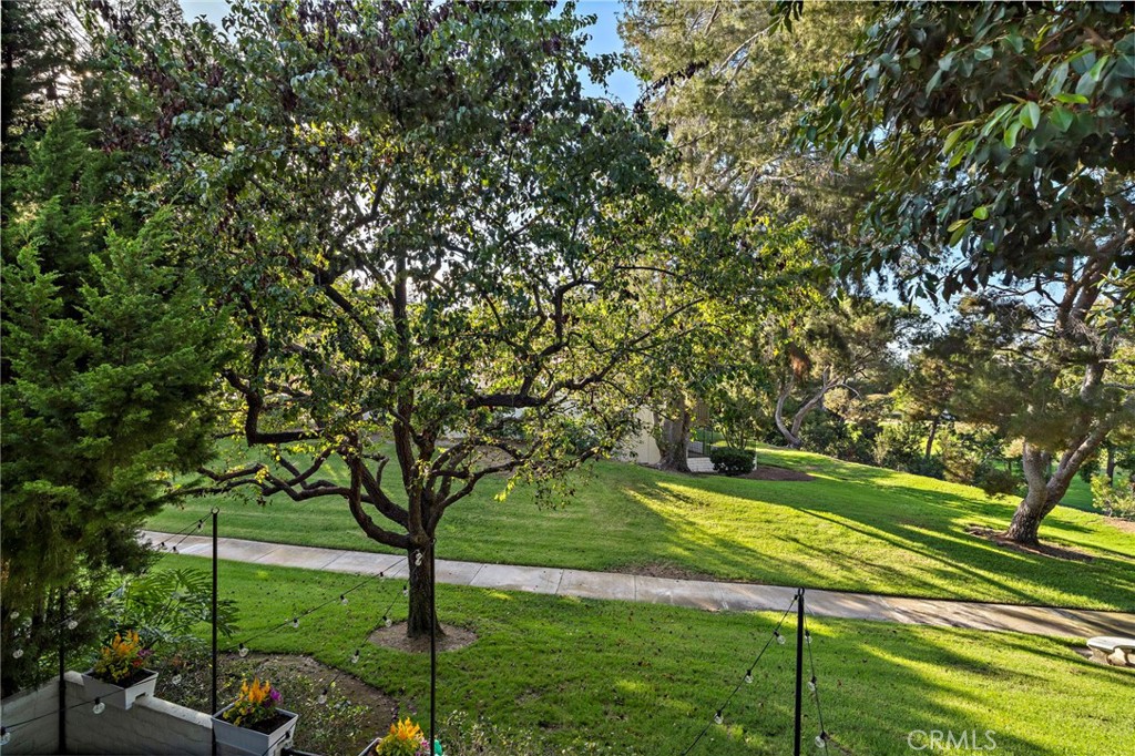 526 Vista Grande Property Photo 21