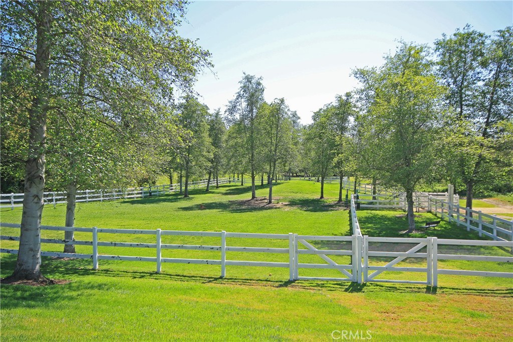 23182 Via Celeste Property Photo 37