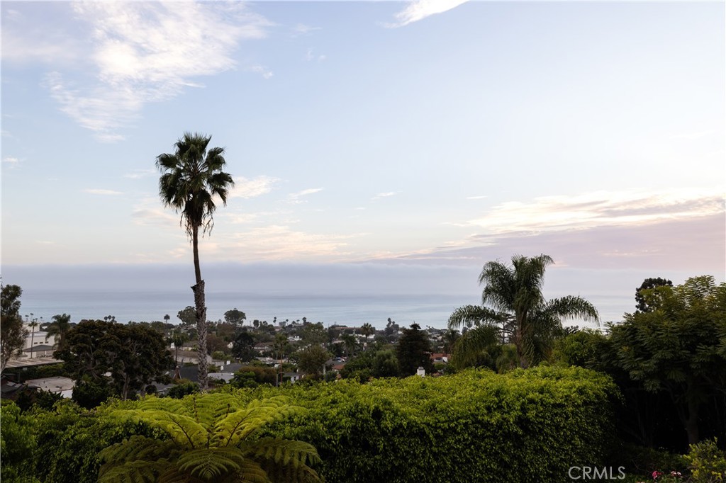 1061 Skyline Property Photo 41