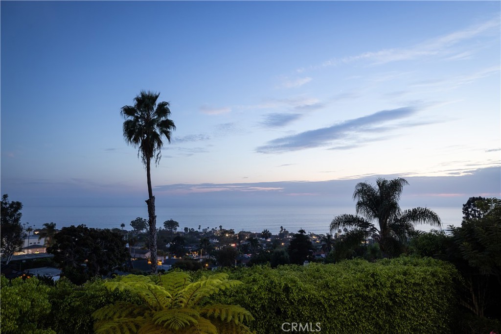 1061 Skyline Property Photo 47