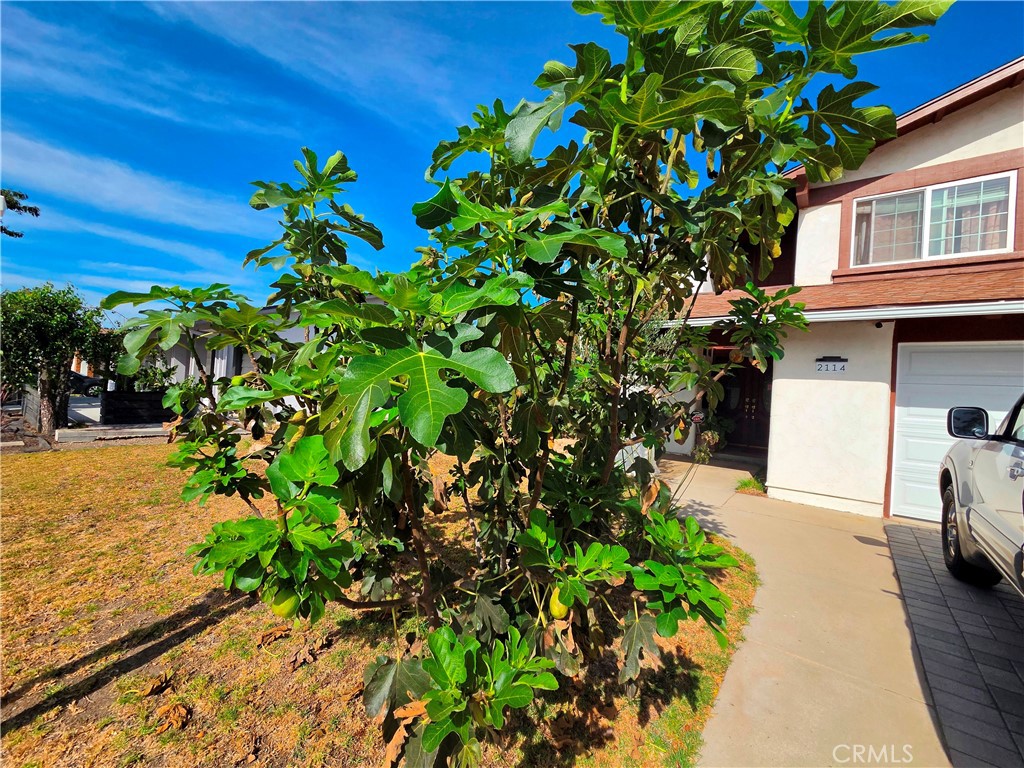 2114 Rhonda Property Photo 60