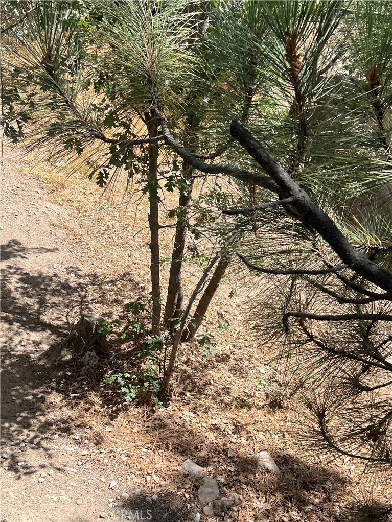 0 Robin Property Photo 1
