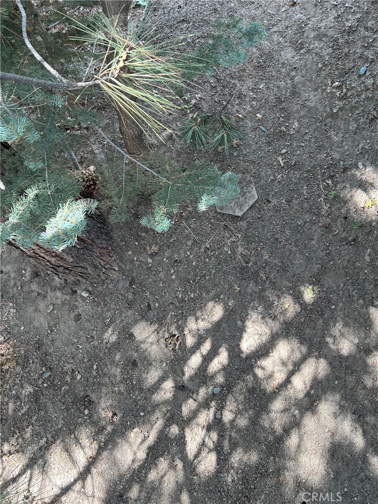 0 Robin Property Photo 2