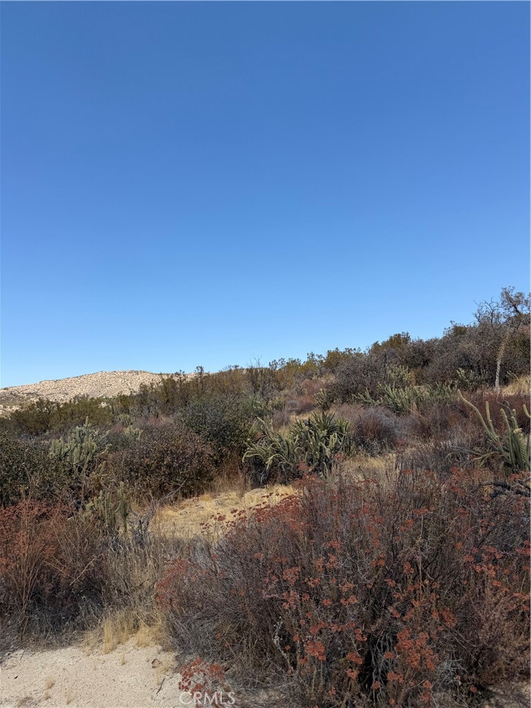 4 Indian Trails Property Photo 8