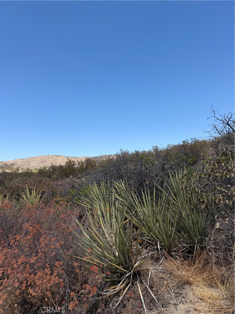 4 Indian Trails Property Photo 10