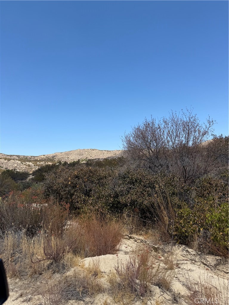 4 Indian Trails Property Photo 11