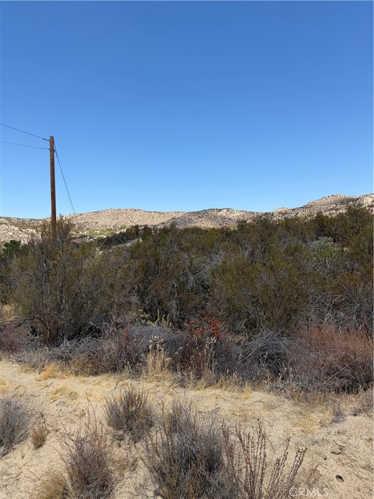 4 Indian Trails Property Photo 12