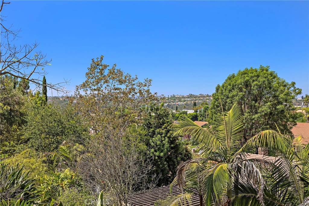 26732 Morena Property Photo 47