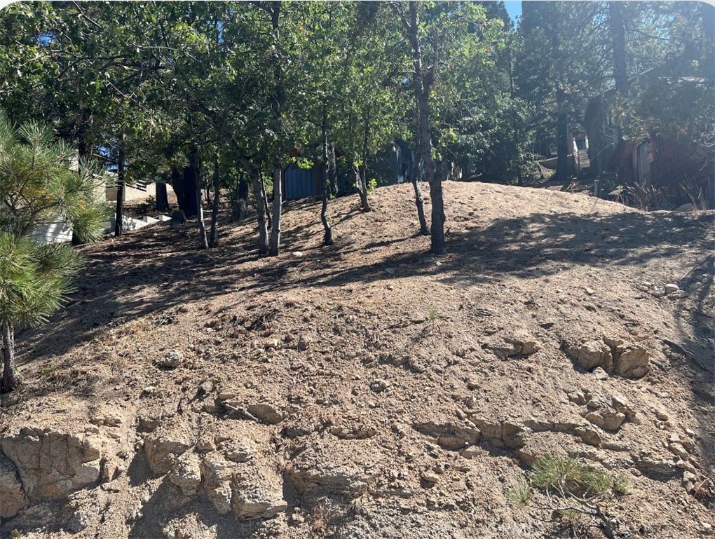 0 Arrowbear Dr. Property Photo 3