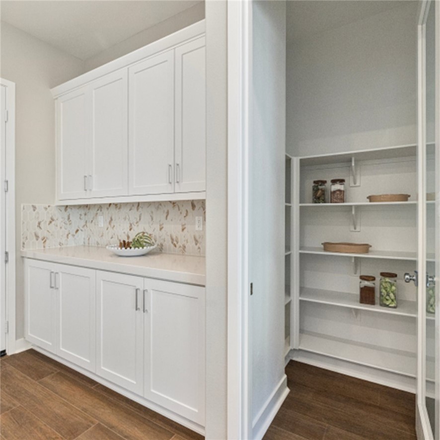 24488 Via Cobija Property Photo 3