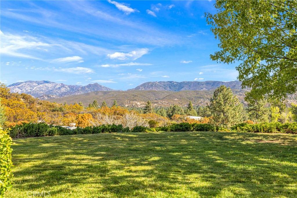 36824 Goldshot Creek Property Photo 58