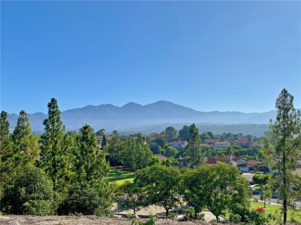 27802 Gleneagles Property Photo 41