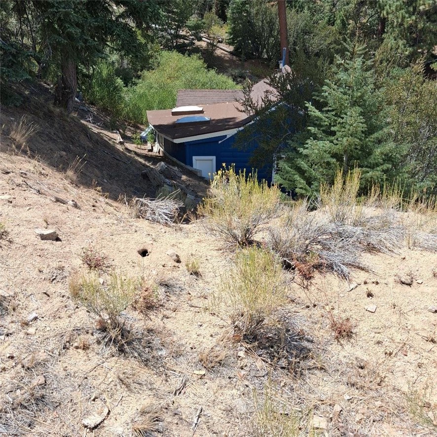 800 Cameron Drive Property Photo 28