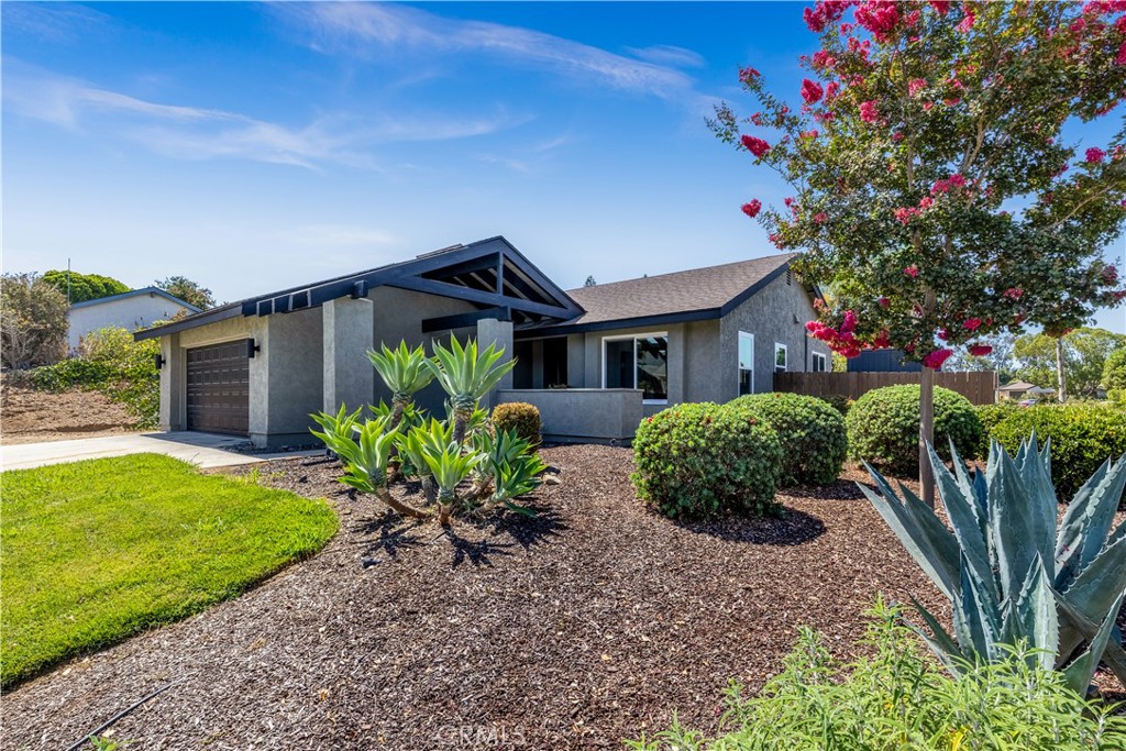 1195 Via Teresa Property Photo 48