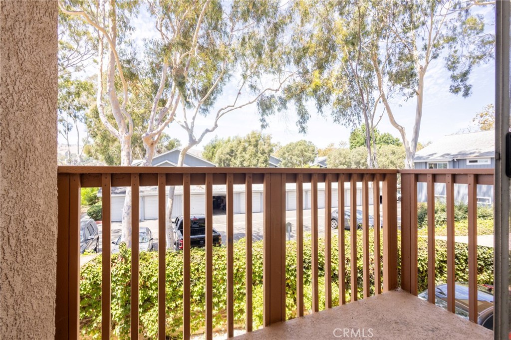 32311 Alipaz Street 3 Property Photo 60