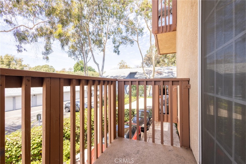 32311 Alipaz Street 3 Property Photo 61