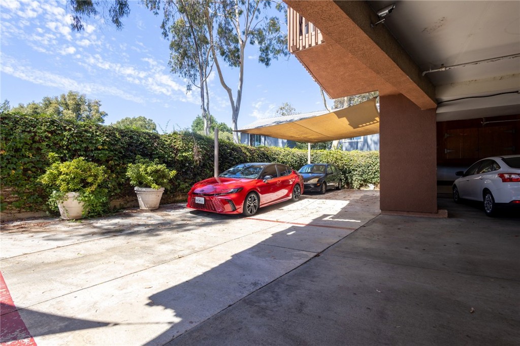 32311 Alipaz Street 3 Property Photo 65