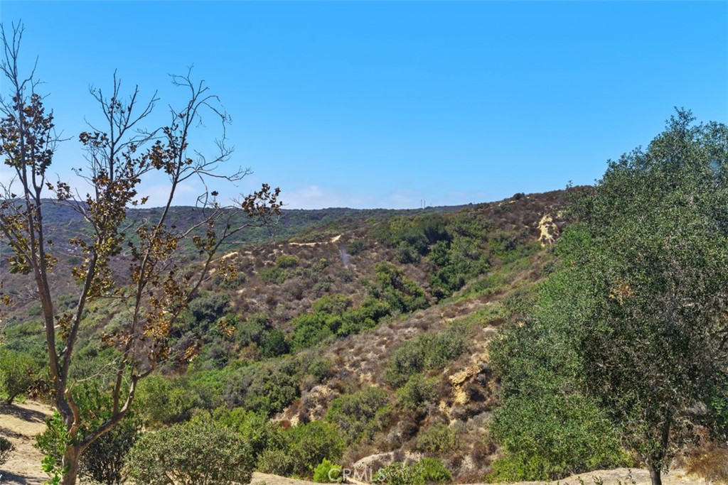 65 Vellisimo Property Photo 36