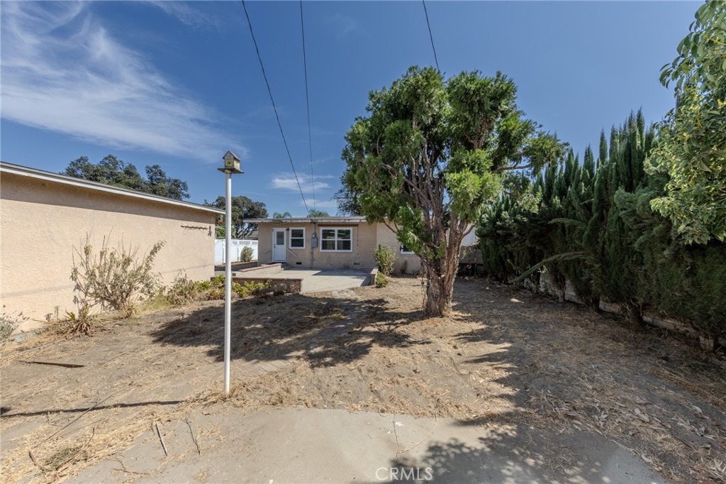 10318 Loch Lomond Property Photo 22