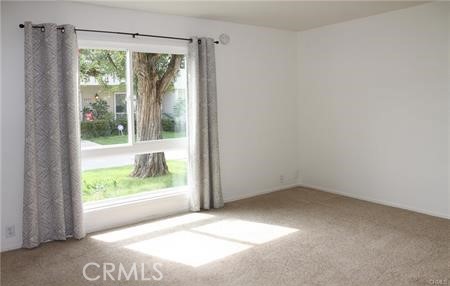 9862 Coral Cove Circle Property Photo 8