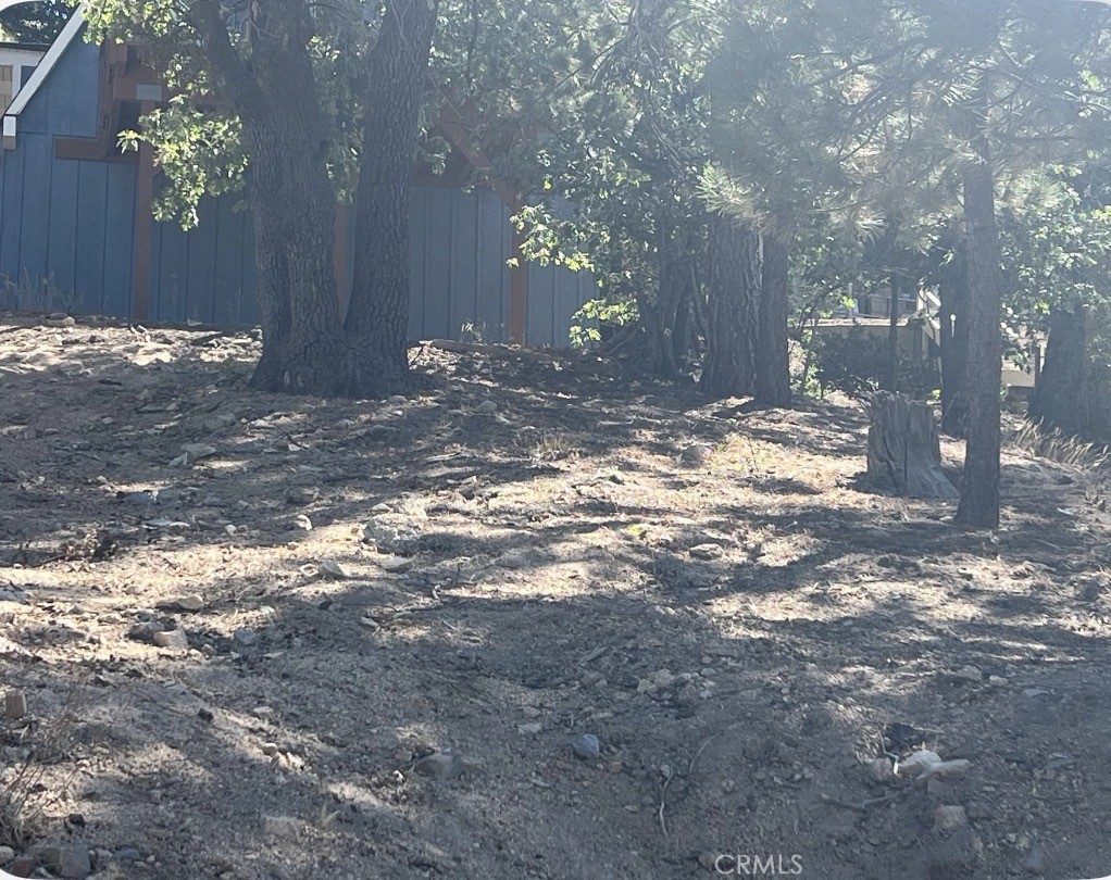 0 Arrowbear Dr. Property Photo 2