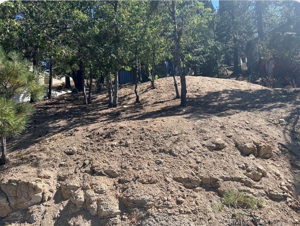 0 Arrowbear Dr. Property Photo 3