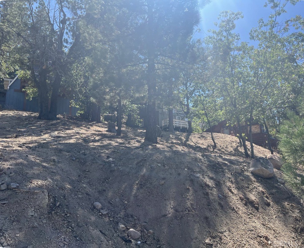 0 Arrowbear Dr. Property Photo 4
