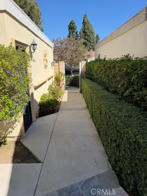 6 Willow Tree Lane Property Photo 42
