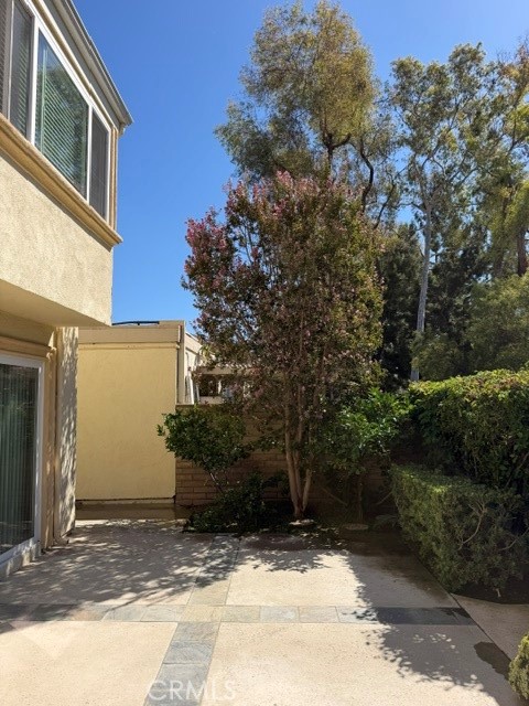 6 Willow Tree Lane Property Photo 45