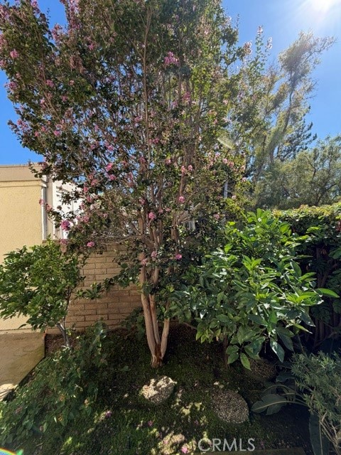 6 Willow Tree Lane Property Photo 48