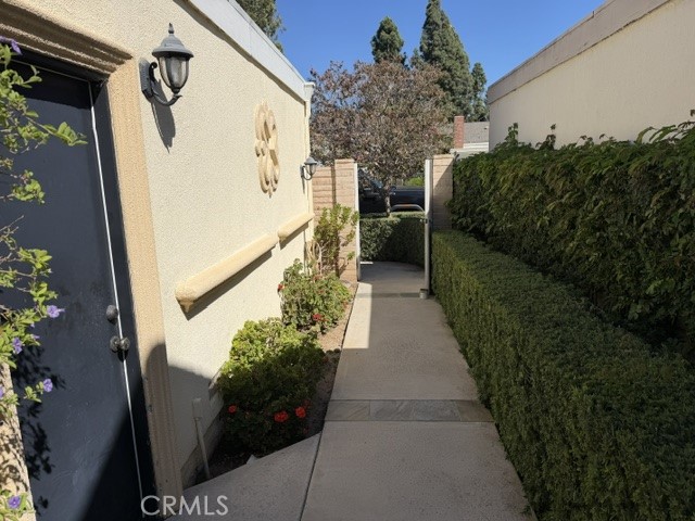 6 Willow Tree Lane Property Photo 51