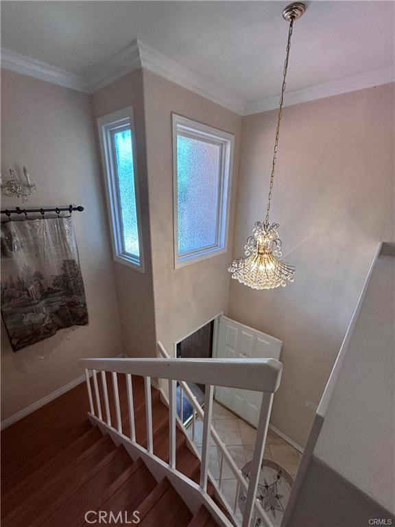 3 Angell Property Photo 3