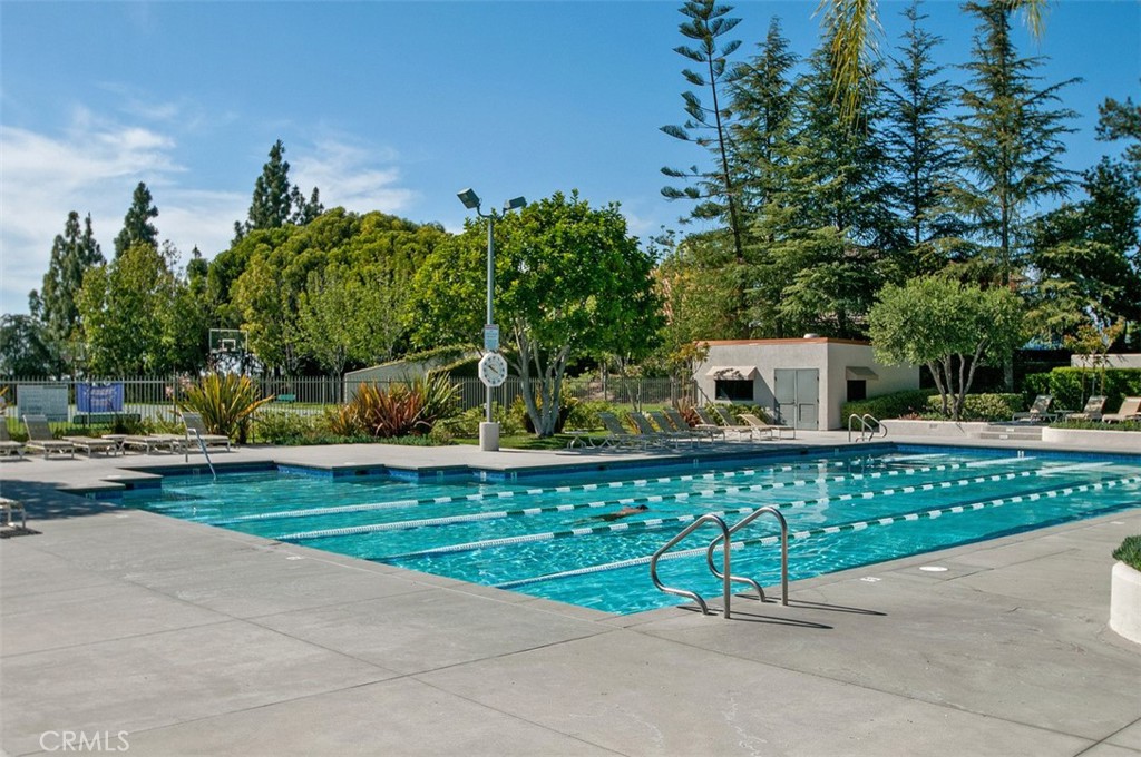 63 Springfield Property Photo 44