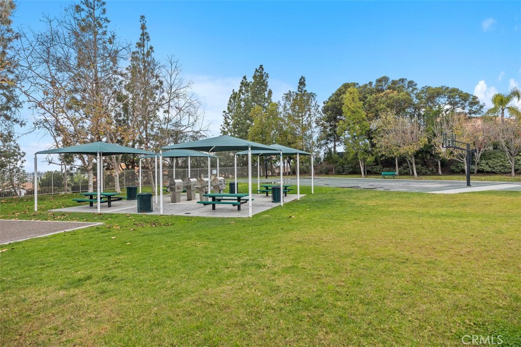 63 Springfield Property Photo 49
