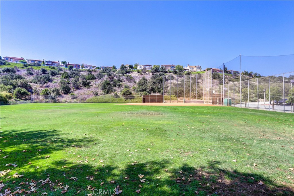 19 Via Nerisa Property Photo 54