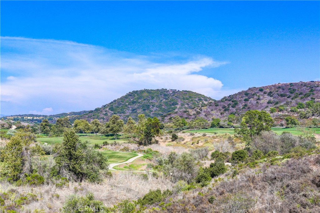 19 Via Nerisa Property Photo 60