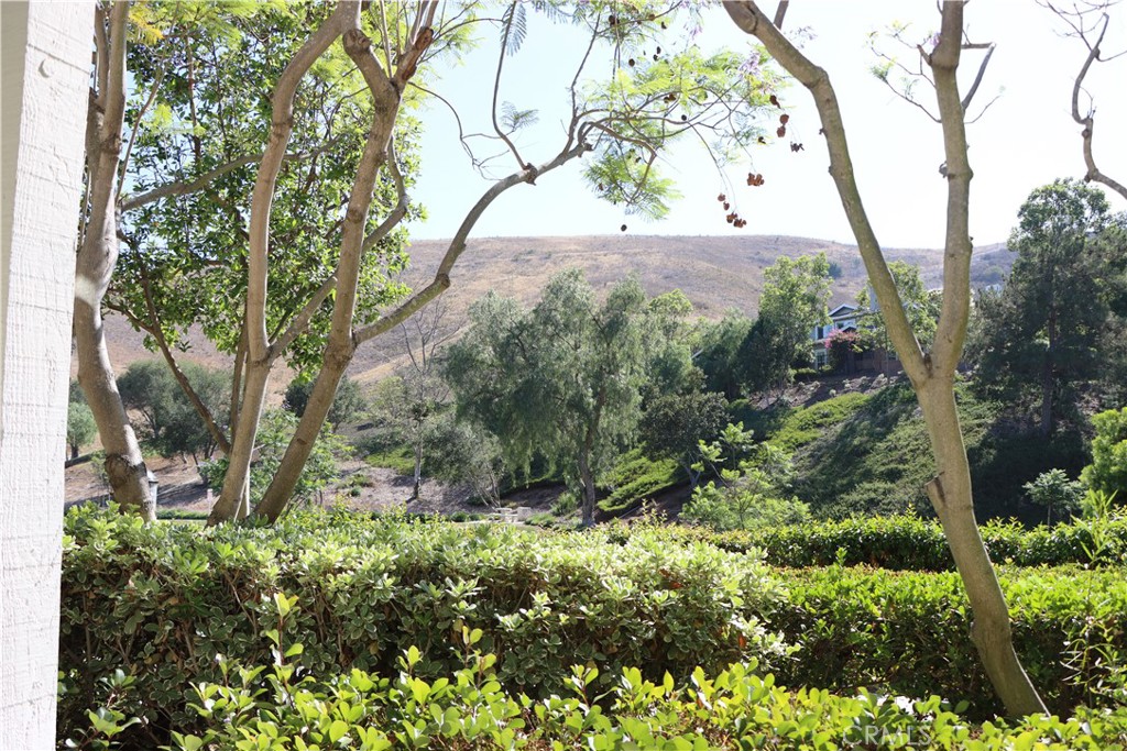 25 Thorp Spring Property Photo 3