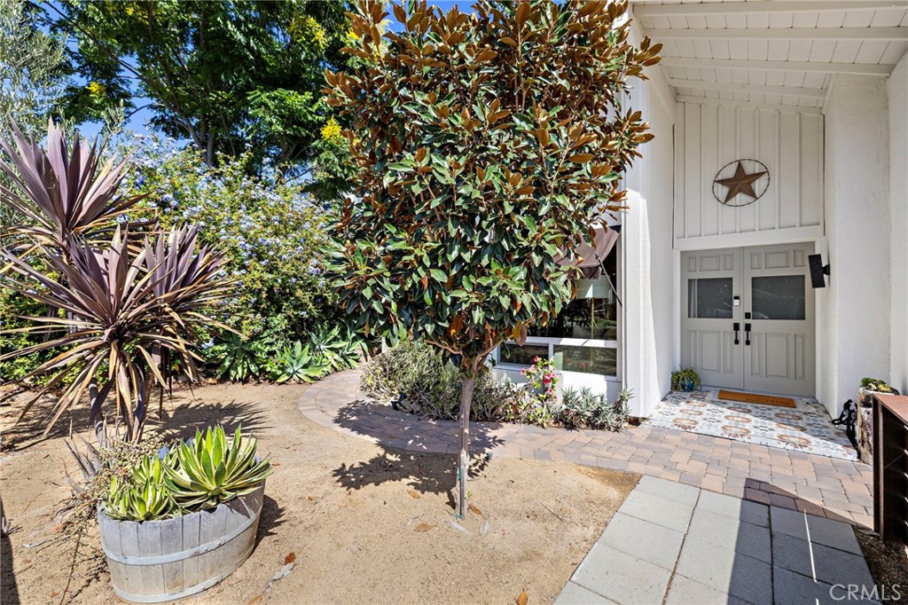 31142 Calle Entradero Property Photo 5
