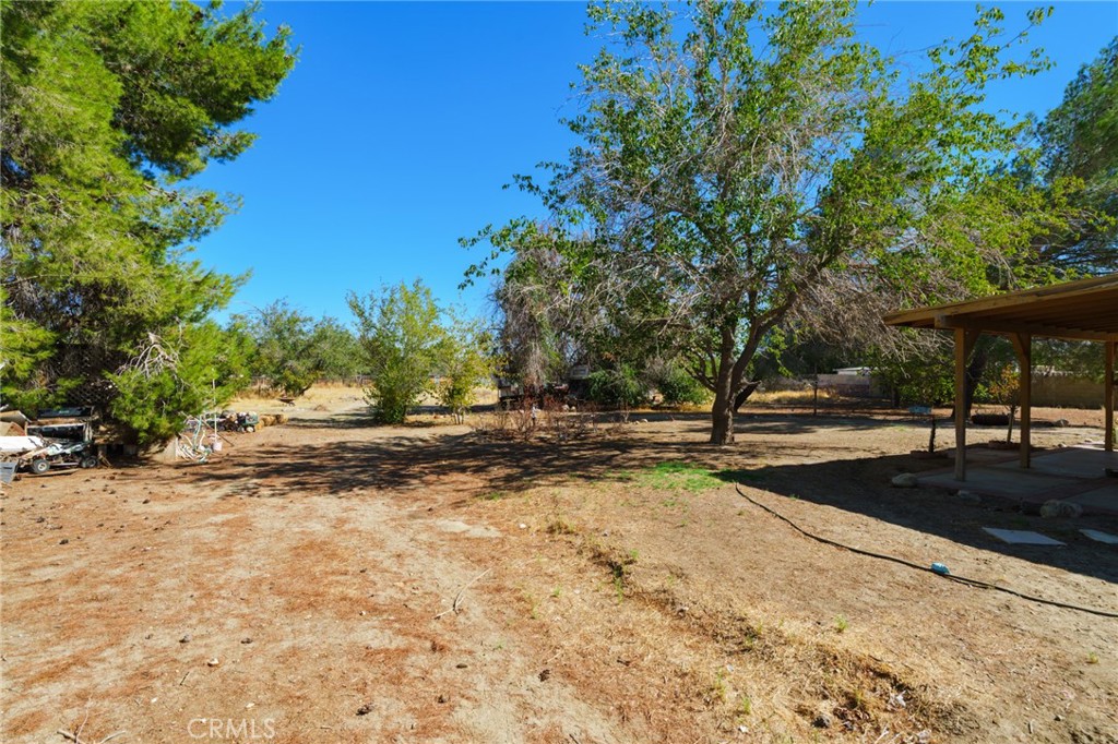 10821 E Avenue R14 Property Photo 25
