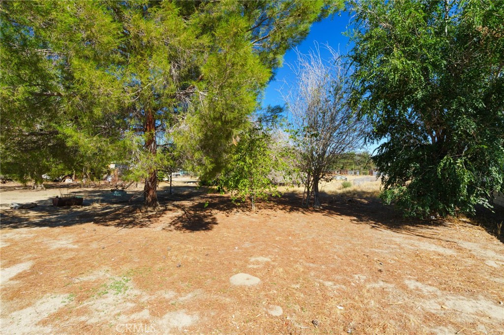 10821 E Avenue R14 Property Photo 26