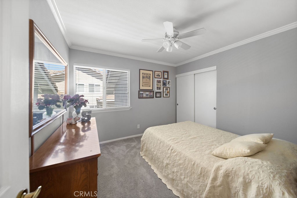 39521 Via Temprano Property Photo 38