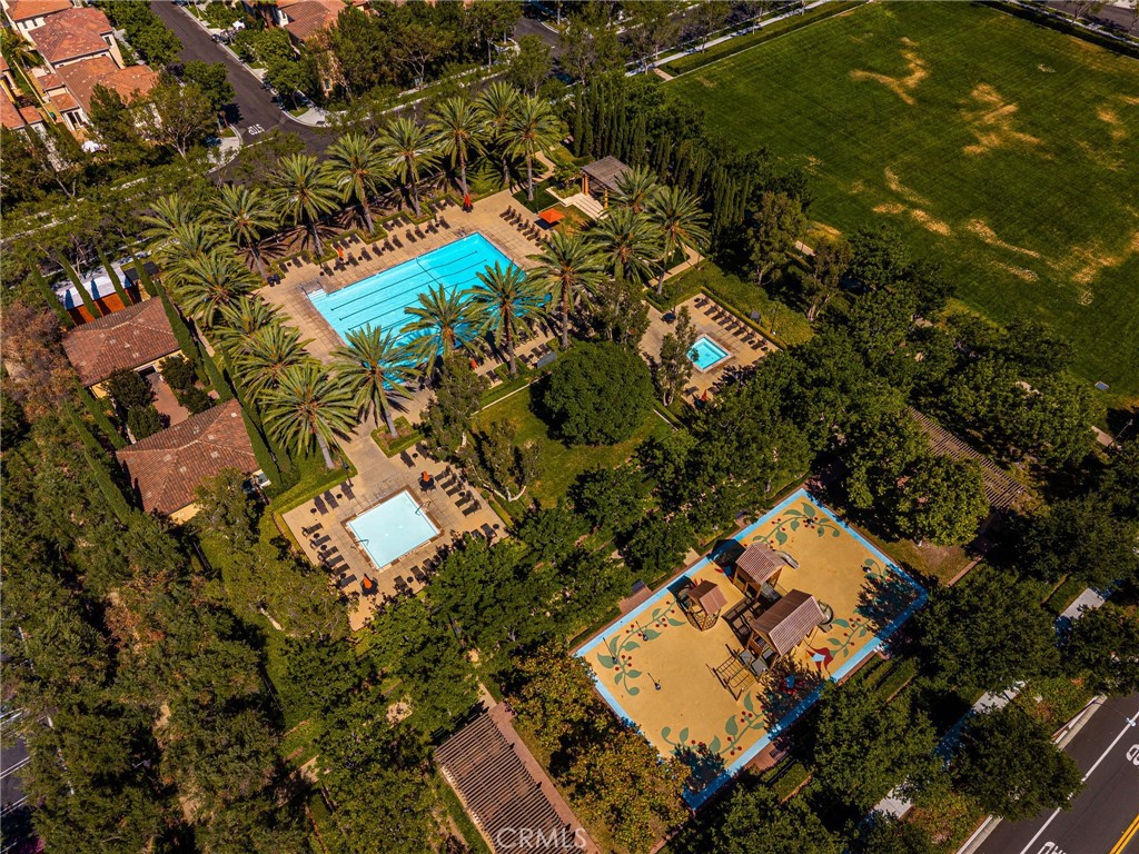 61 Cactus Flower Property Photo 38