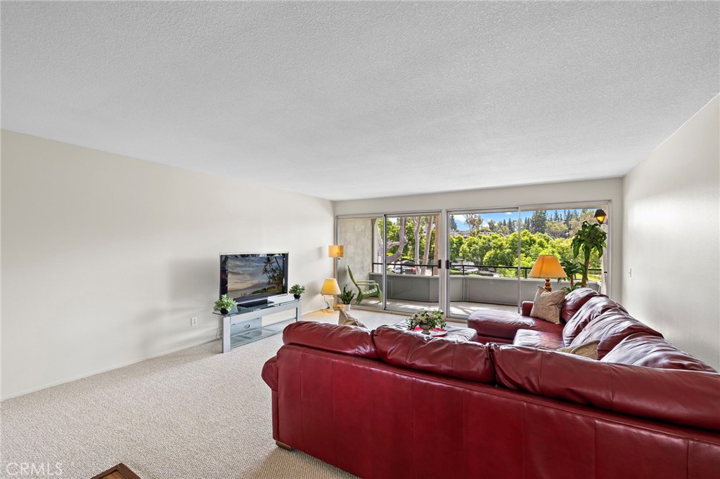 22316 Caminito Tecate Property Photo 4