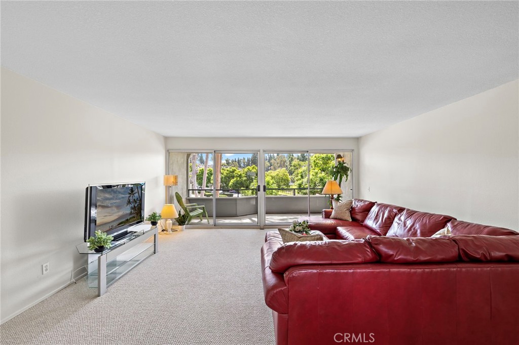 22316 Caminito Tecate Property Photo 6