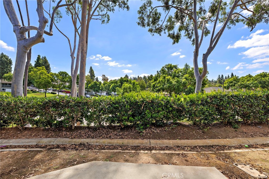22316 Caminito Tecate Property Photo 33