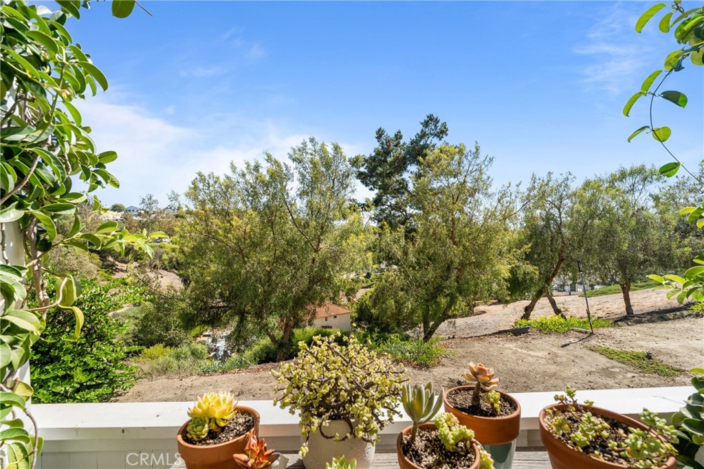 25556 Paseo La Vista Property Photo 13