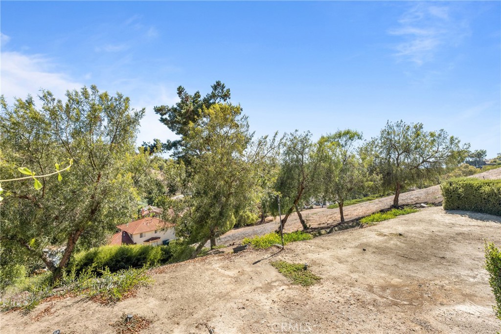 25556 Paseo La Vista Property Photo 35