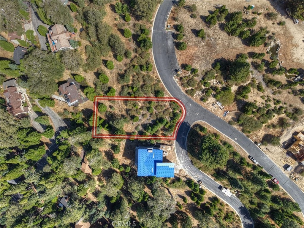 202 Hidden Forest Property Photo 4